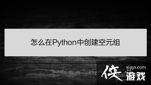 python 创建空元组