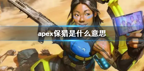 apex保猎多少钱