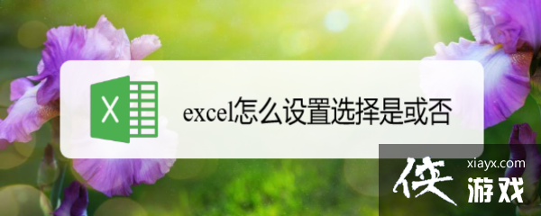 excel怎么可以选择是或否