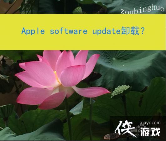 apples怎么读