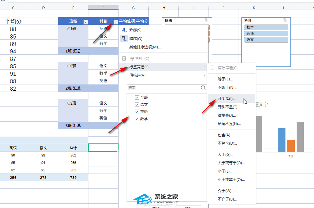 wps怎么使用透视表的筛选功能