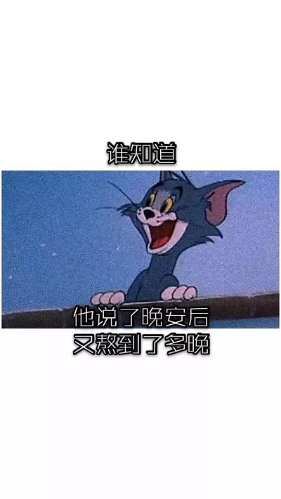 猫和老鼠图片