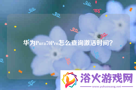 华为Pura70Pro怎么查询激活时间